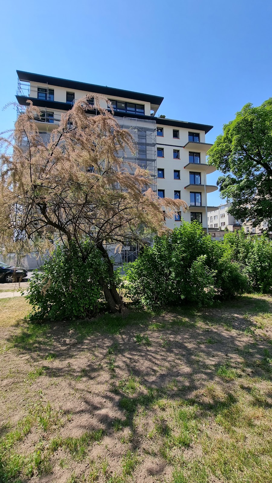 Budynek wśród zieleni w Pabianicach